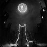 Moonlight