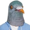 palomito