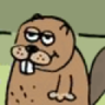 BerraCO