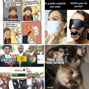 Memes