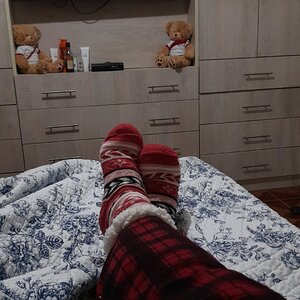 Friolenta