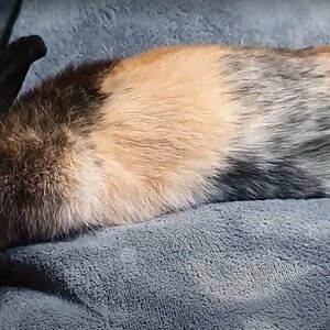 Screenshot 2022-10-13 015240.jpg