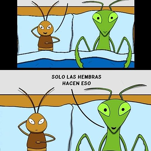 Clásico en los baneados