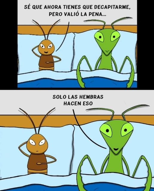 Clásico en los baneados