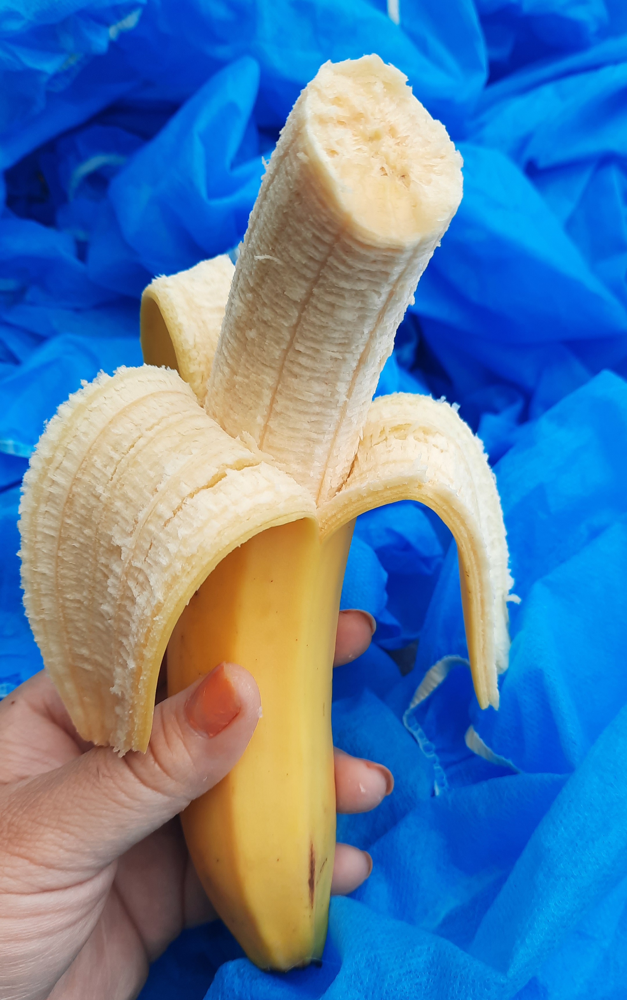 Platanito.jpg