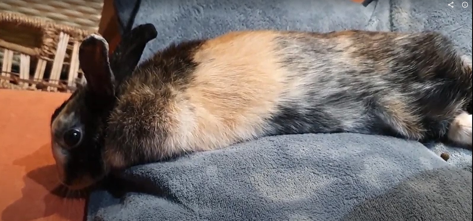 Screenshot 2022-10-13 015240.jpg